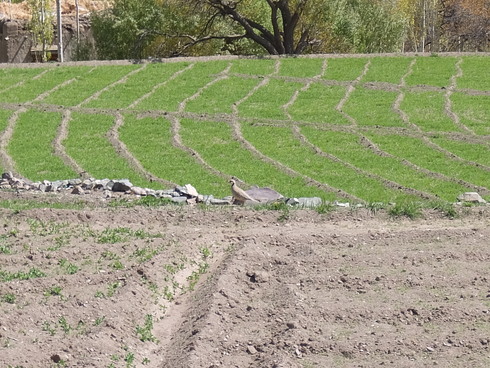 a0207588_20473045.jpg
