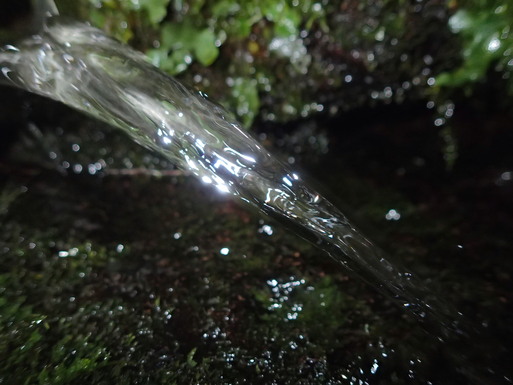 d0326888_03768.jpg