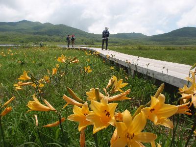 雄国沼、カラフルですよ。_a0096989_22473682.jpg