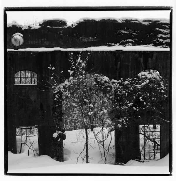 SNOWY・檀蜜古画スペシャル 遠ひ記憶への旅立ち _f0173596_20374227.jpg
