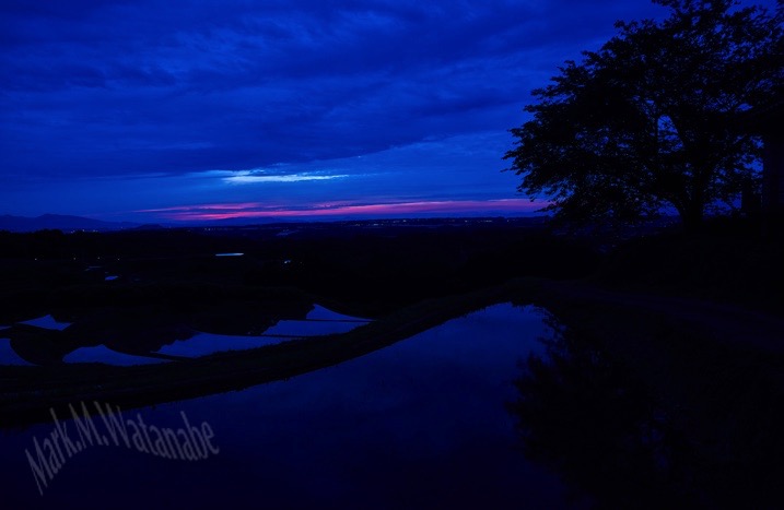 夕暮れの棚田_e0135098_627141.jpg