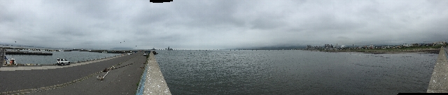 d0146612_1115860.jpg