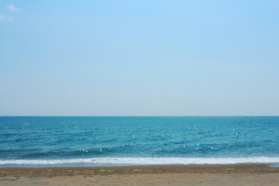 d0181314_14264347.jpg