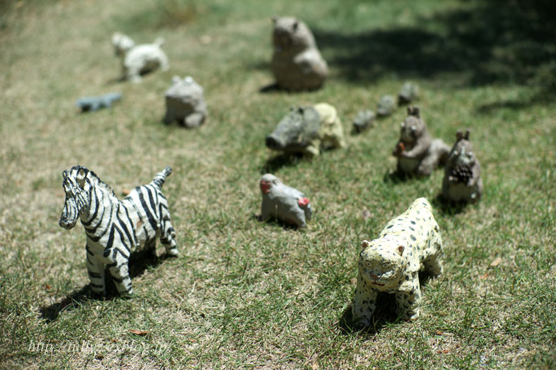 d0108132_20023.jpg