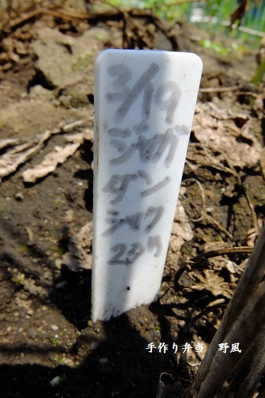 b0244034_16182719.jpg