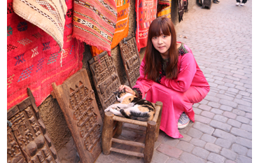「ねこ旅また旅」のnekoyama1002さん登場!_c0039735_020930.jpg