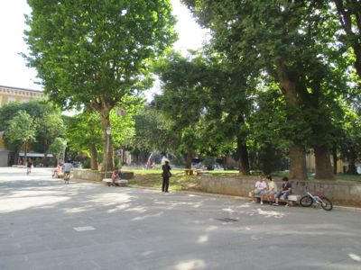 d0136540_4103698.jpg