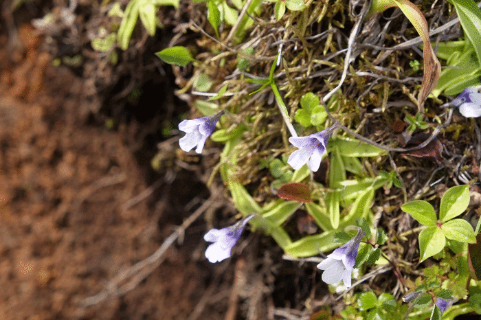 d0237340_22000977.gif