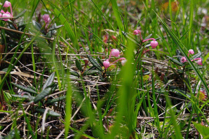 d0237340_22222004.gif