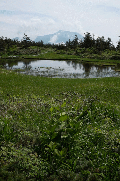 d0237340_23004143.gif