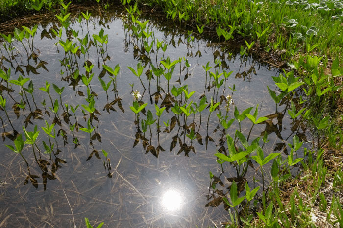 d0237340_23005936.gif