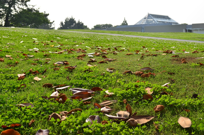 ”彫刻と湖と花～ときわ公園をプチ散歩”_d0153941_18125488.jpg