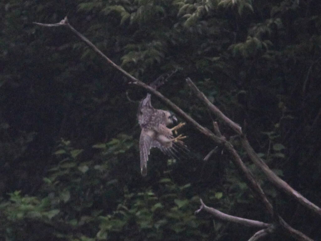 c0352852_01204914.jpg