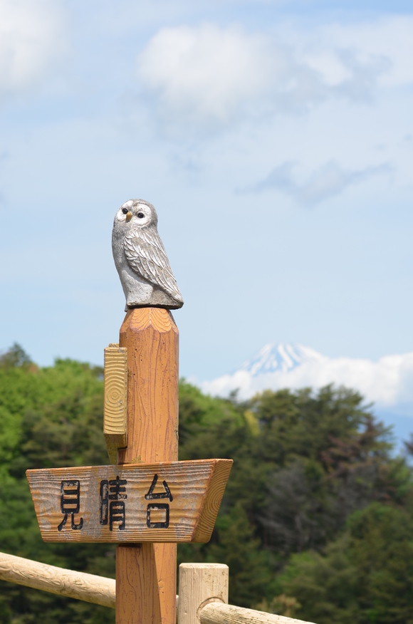 ラフォーレ修善寺のお部屋と温泉_f0054556_10245630.jpg