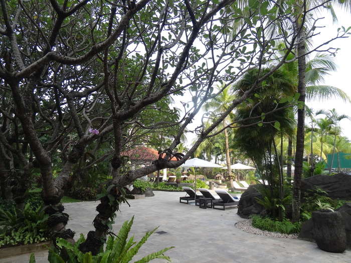 f0036857_1339025.jpg