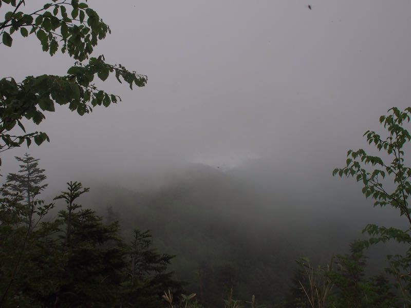 c0321967_1313357.jpg