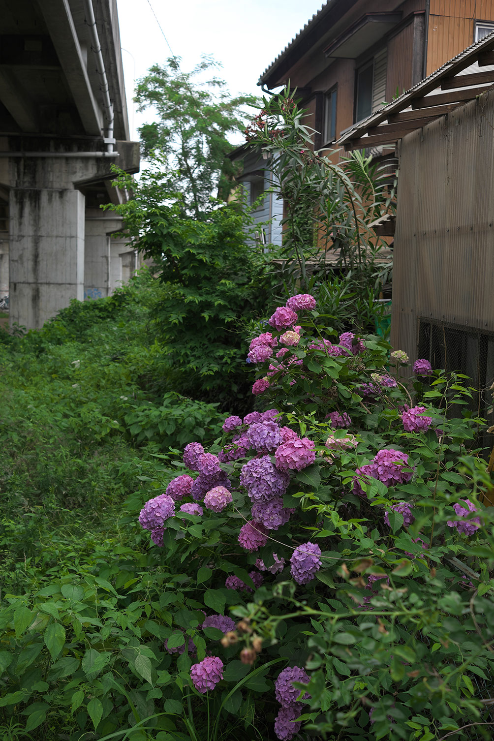 f0121181_343917.jpg