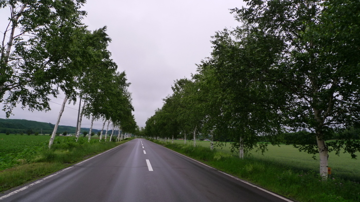 c0212083_16372277.jpg