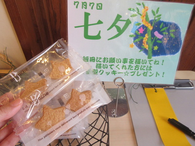 七夕かざり_a0171984_18301295.jpg