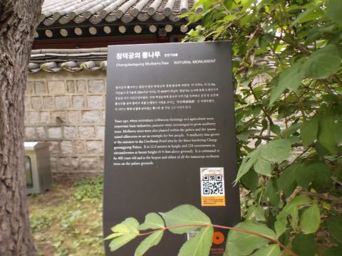 d0115985_04366.jpg