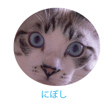 a0333195_13204843.png