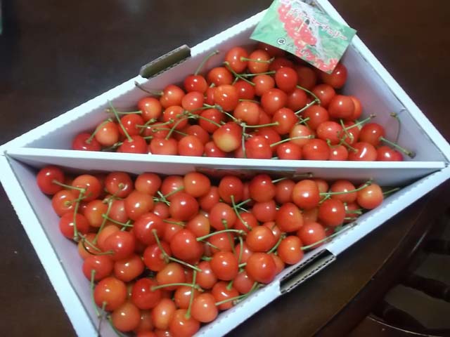 秋田のさくらんぼ_f0019498_83358.jpg