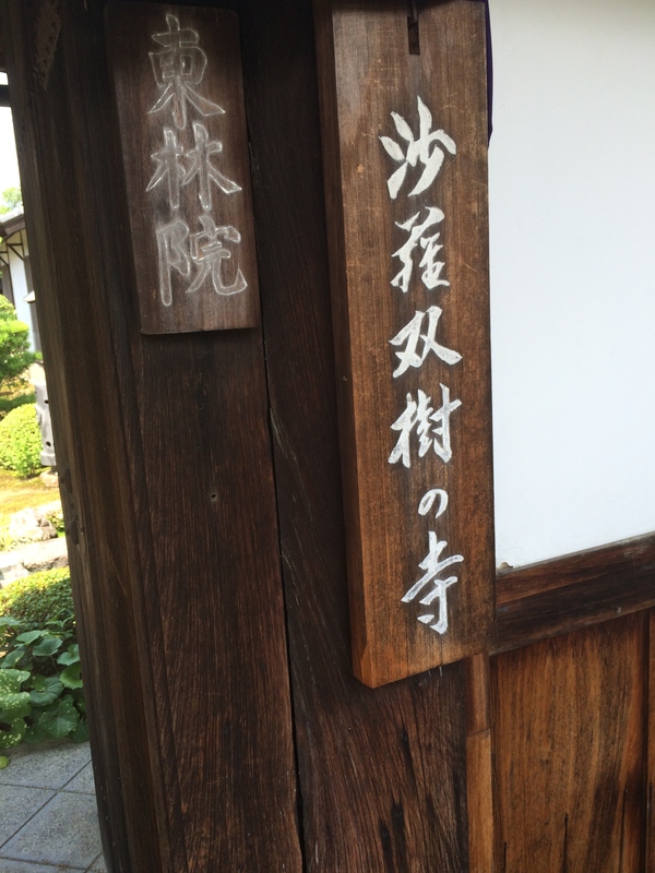 東林院の沙羅の花を愛でる会_a0197730_22341973.jpg
