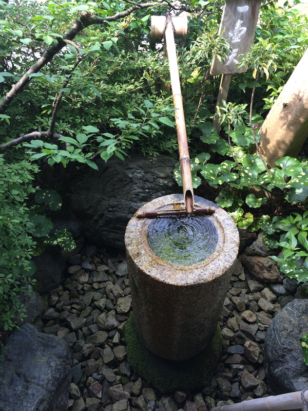 東林院の沙羅の花を愛でる会_a0197730_2243553.jpg