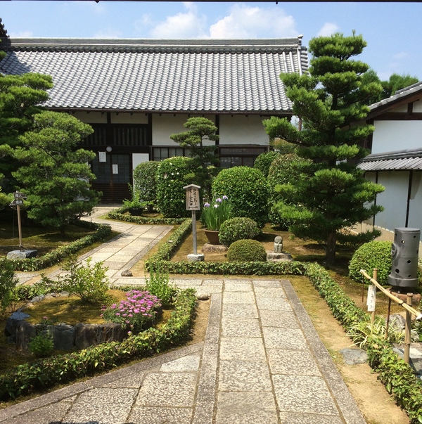 東林院の沙羅の花を愛でる会_a0197730_22454388.jpg
