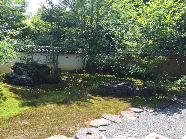東林院の沙羅の花を愛でる会_a0197730_2253826.jpg