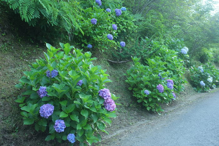 c0308431_0465489.jpg