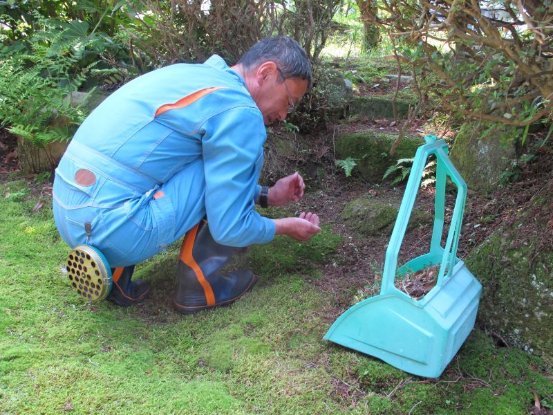 脂の乗った凄い奴_f0076731_20383345.jpg