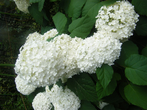 f0038336_7101029.jpg