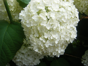 f0038336_7102585.jpg
