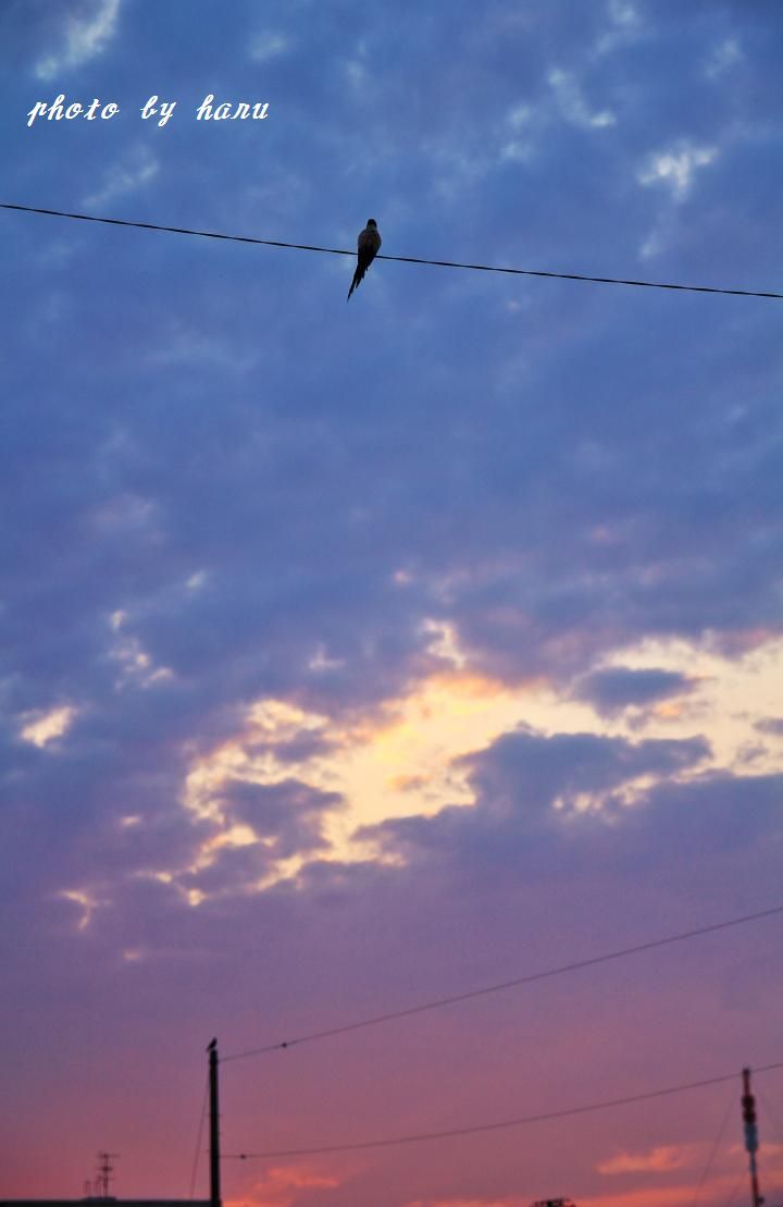 f0297537_09064071.jpg