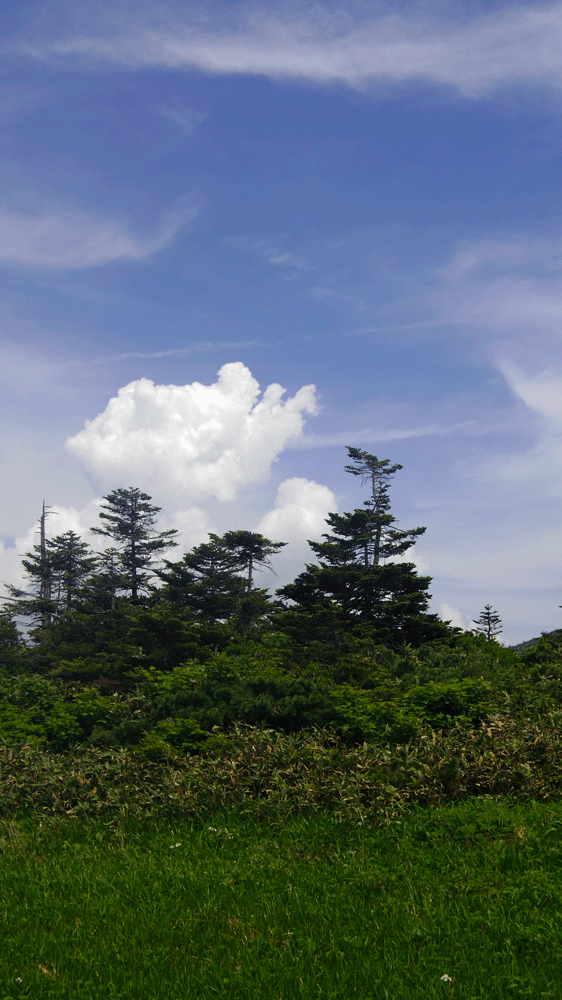 d0237340_10070218.gif