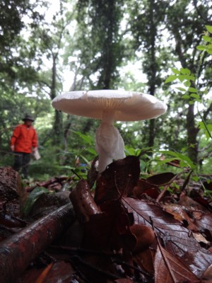 c0119142_229165.jpg