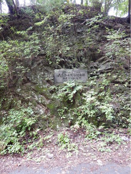 二文キャンプションシリーズ 『6月20日の走行』 その5。_b0136045_19502644.jpg