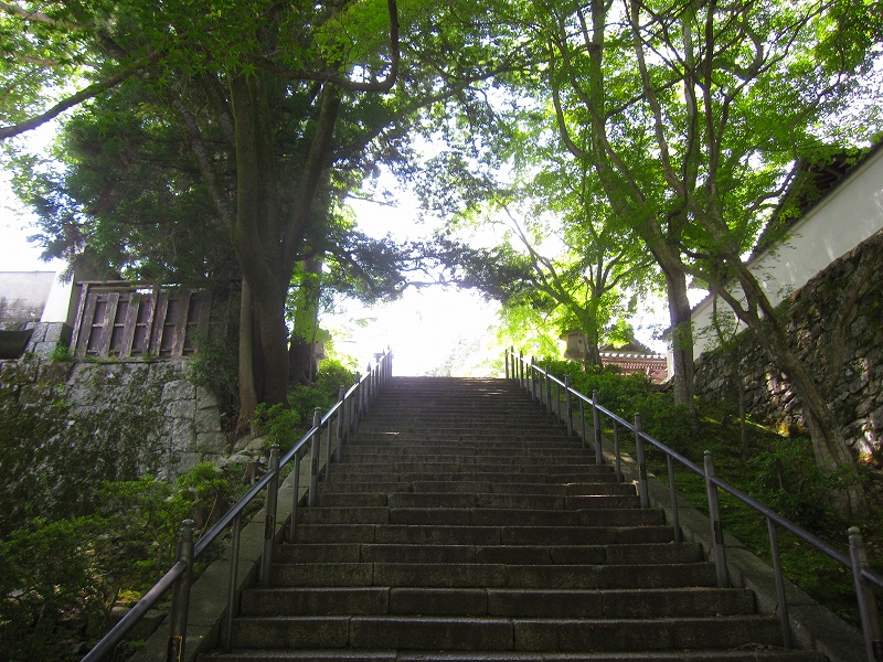明智光秀の菩提寺【西教寺】(滋賀県大津市坂本)20150522_e0237645_16581732.jpg