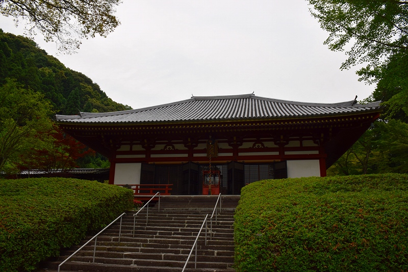 関西花の寺『久安寺』はなかなかの名刹20150530_e0237645_17281123.jpg