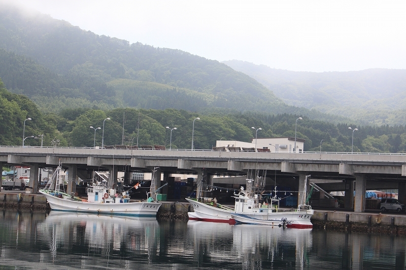 6月21日 亀田半島ドライブ ４ 臼尻漁港 そよ風のように