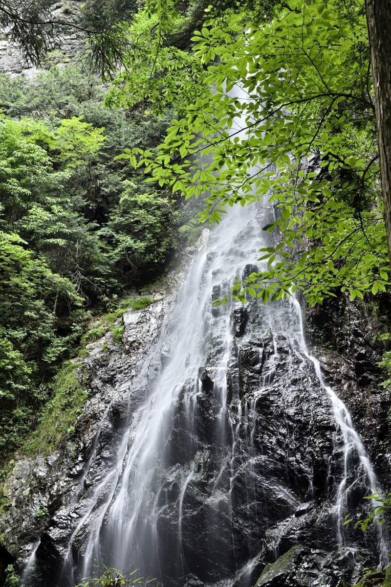 滝　　　　　　　奈良県川上村_d0286954_06382753.jpg