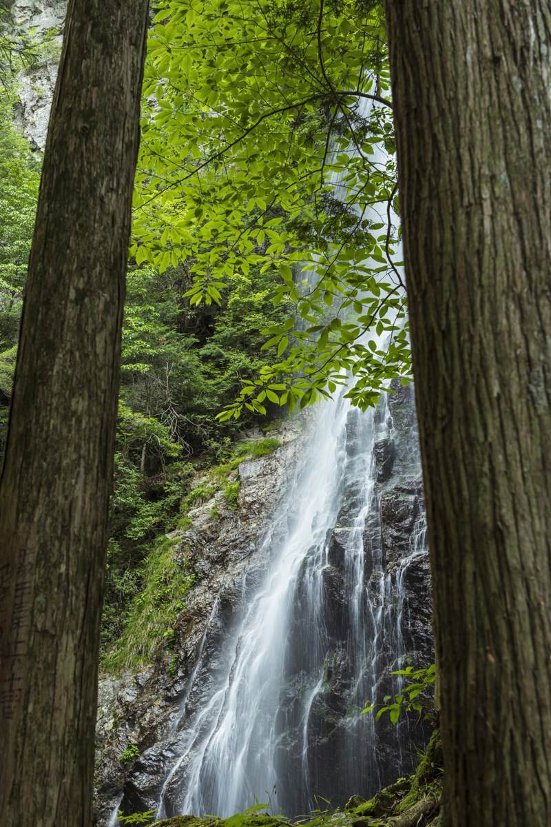 滝　　　　　　　奈良県川上村_d0286954_06384800.jpg