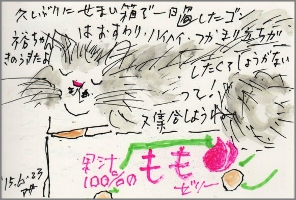 やっぱり飼ったのね!_e0074955_6105420.jpg