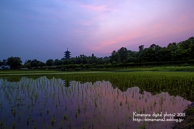 備中国分寺の夕景　6/23_f0324756_1163922.jpg