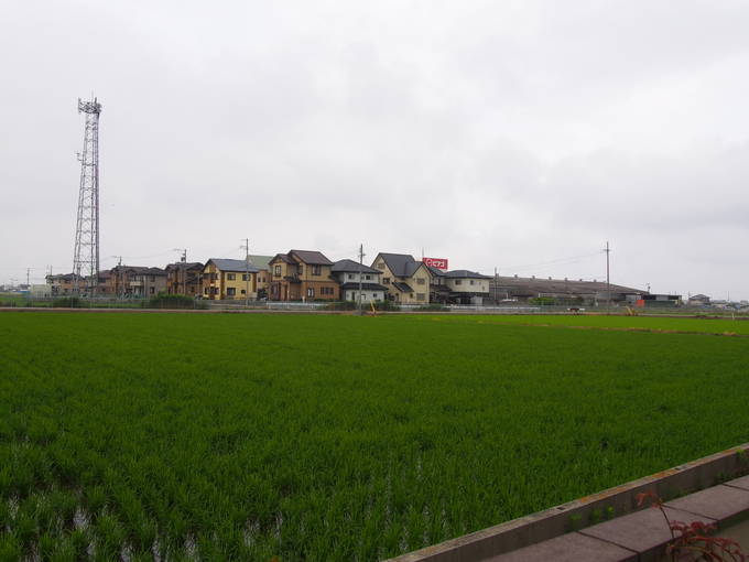 b0194267_20492385.jpg