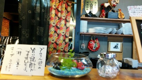 でめきん魚 Food 旅 わんこの生活