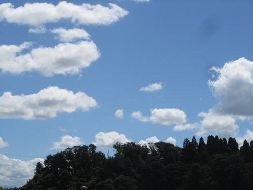b0149071_16564360.jpg