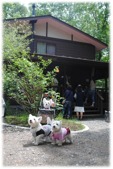 b0242873_10332081.png