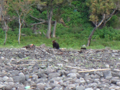 斜里岳から知床半島へ_d0182075_4322360.jpg